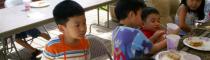 VBS 2008