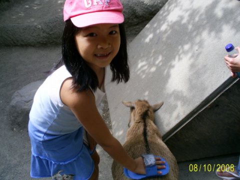 SAMSUNG DIGITAL CAMERA